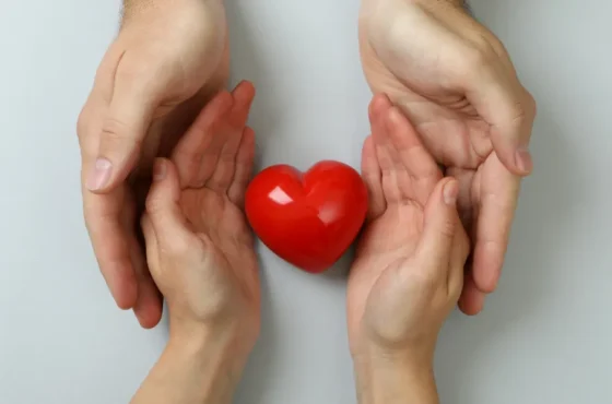 Why Donors Look for Verified NGO Profiles Online